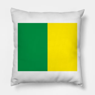 County Kerry Green & Gold Half design Pillow