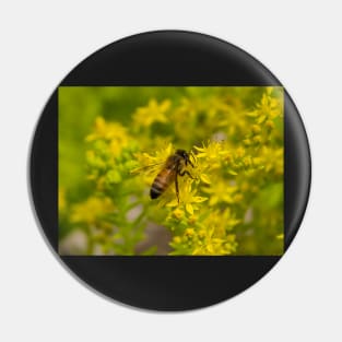 Yellow Flower and Honey Bee Pin