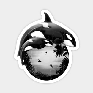 Orca Killerwhales Magnet