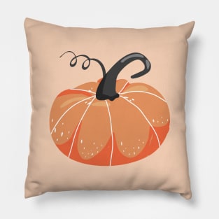 Autumn seamless pattern. Various pumpkins. Autumn Fall Season. Pillow