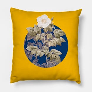 Vintage Blooming Leschenault's Rose Botanical Illustration on Circle Pillow