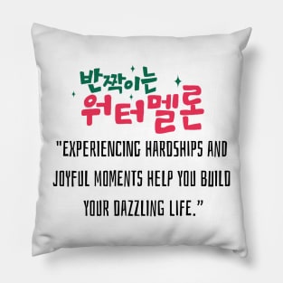 Twinkling Watermelon Korean Drama Pillow