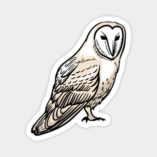 Barn Owl Magnet