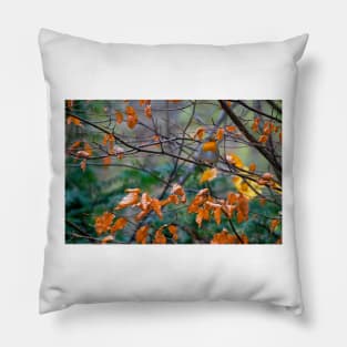 Robin  hiding in Beech tree Pillow