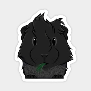 Black Roan Abyssinian Guinea Pig Magnet