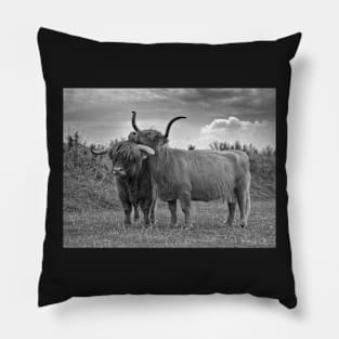 Highland Cows (2 of 2) Pillow