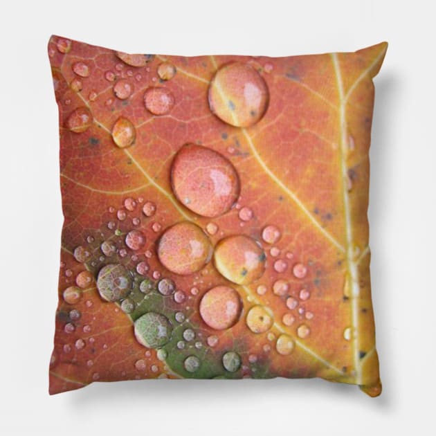 Autumn Leaf Pillow by ARTWORKandBEYOND