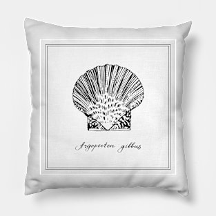 Argopecten Gibbus  or Atlantic Calico Scallop Pillow