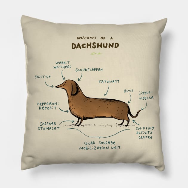 Anatomy of a Dachshund Pillow by Sophie Corrigan