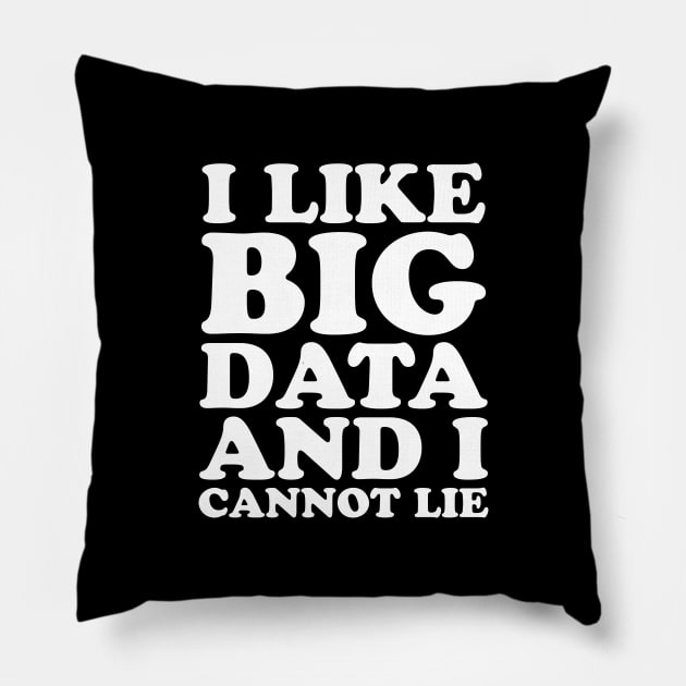 I like big data and I cannot lie Pillow by captainmood