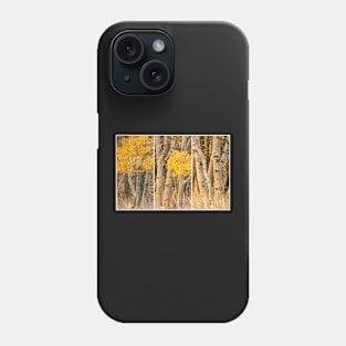 Aspens Trio Phone Case