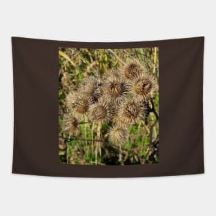 Thistle. Tapestry