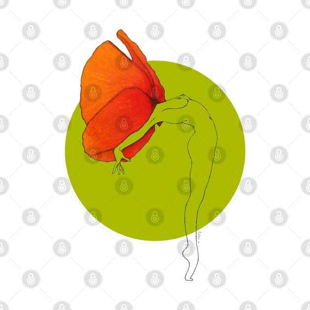 Orange red poppy flower head girl on olive green background · Flower Woman Poppy, clear illustration by natashakolton