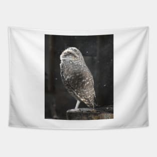 Burrowing Owl Tapestry