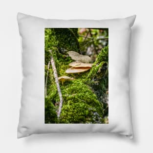 Mushrums on a Tree, Eriskircher Ried, Lake Constance Pillow