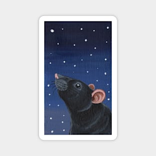 Black Rat Stargazing Magnet