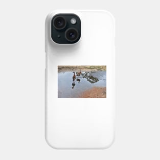 ducks in park the wetland landscape with lovely birds Phone Case