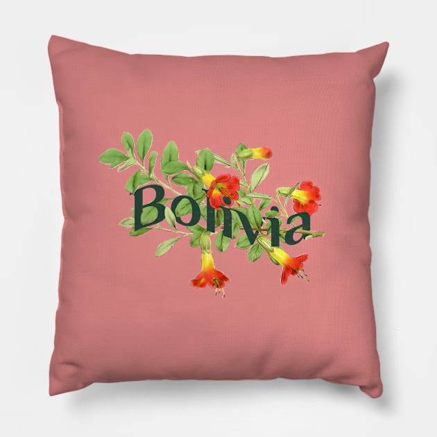 Bolivia Vintage Botanical Illustration Pillow by Pico Originals