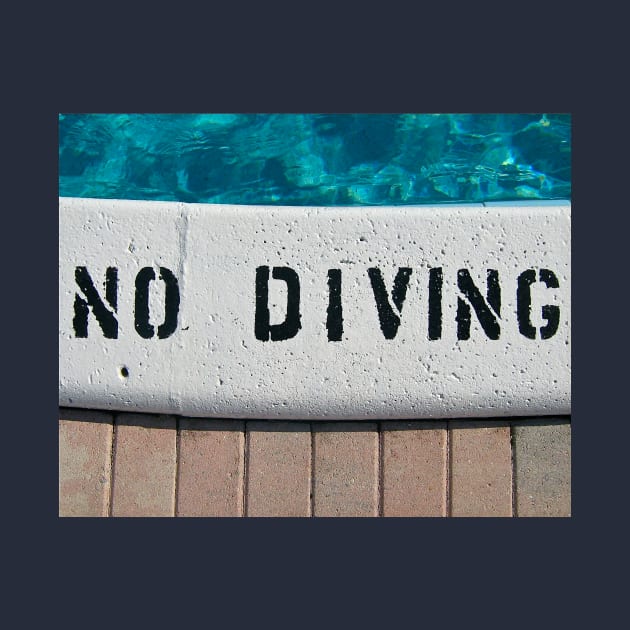 No Diving by DiszBee