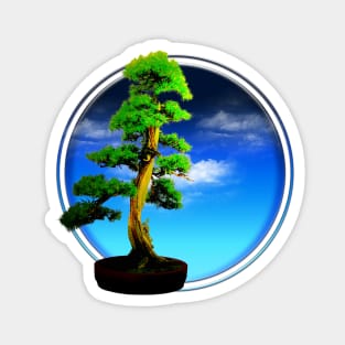 Bonsai tree (day) Magnet