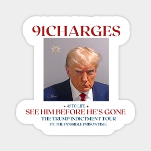 Mug shot Trump "45 to Life" Magnet