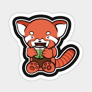 Red Panda Loves Green Tea Magnet