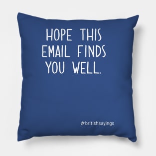 I Hope This Email Finds You Well 2 Pillow