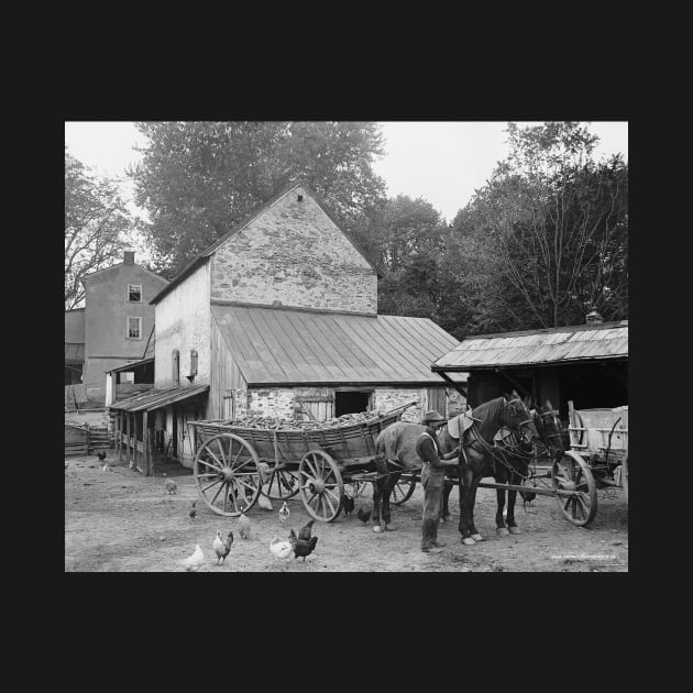 Pennsylvania Farm, 1906. Vintage Photo by historyphoto