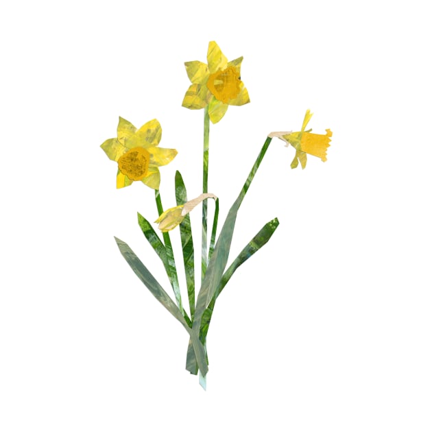 Daffodil by Babban Gaelg