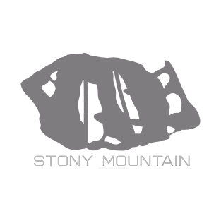 Stony Mountain Resort 3D T-Shirt