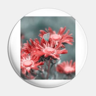 Blue butterfly on red flowers Pin