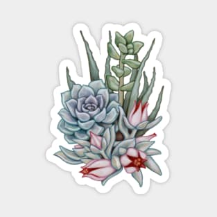 Midnight Succulents Magnet