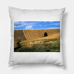 Hills in the Marche Pillow