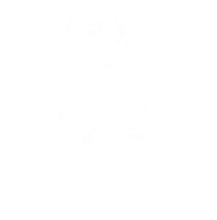 No better burden can a man carry on the road than a store of common sense - Odin Magnet