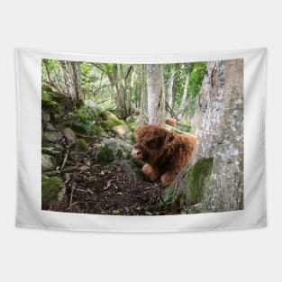 Scottish Highland Cattle Calf 1502 Tapestry