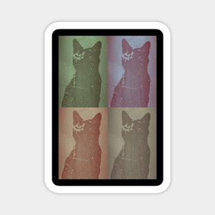 Quad Black Cats Magnet