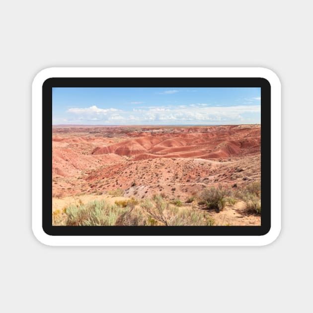 Painted Desert 2 Magnet by jvnimages