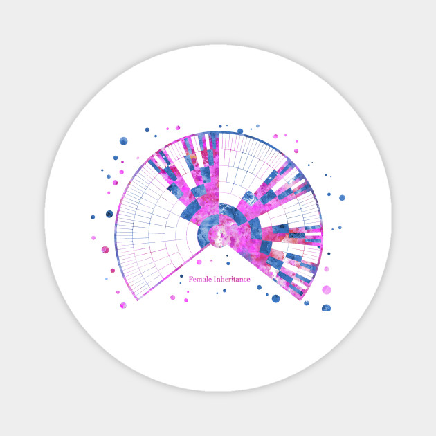 Dna Inheritance Chart