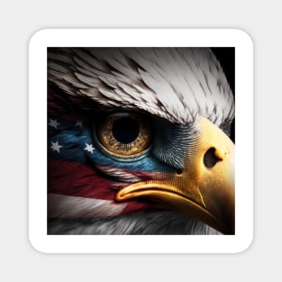 USA, Bald Eagle, America, American Flag, Magnet