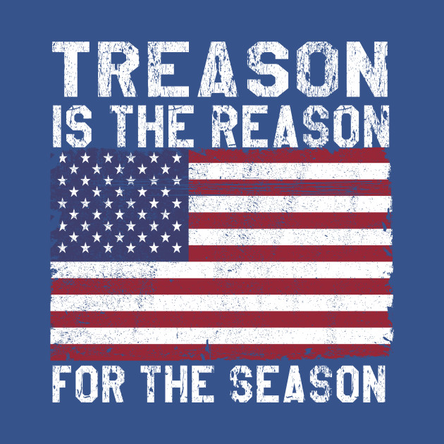 Discover Funny Gift 4th Of July America Treason Is The Reason Tee - 4th Of July Gift - T-Shirt