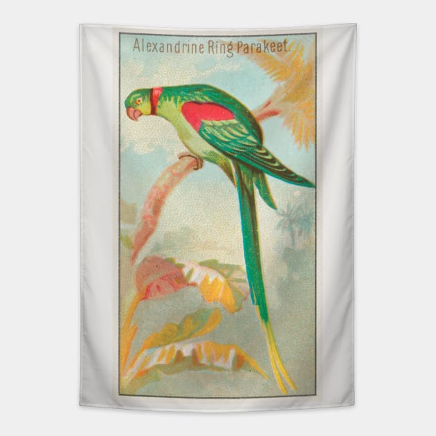 Alexandrine Ring Parakeet Tapestry by WAITE-SMITH VINTAGE ART