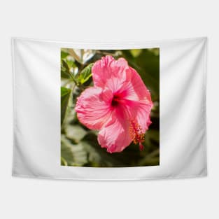 823 Hibiscus Tapestry