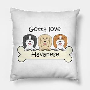 Gotta Love Havanese Pillow