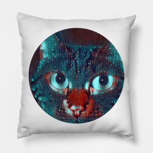 Frisky mycat, revolution for cats Pillow