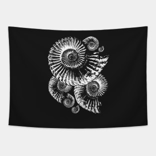 Fossil Ammonite Tapestry