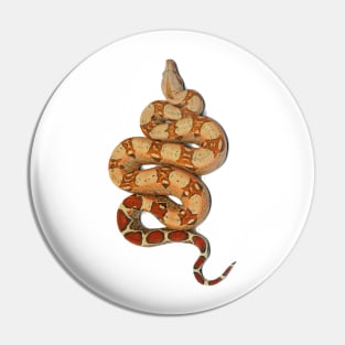 Boa constrictor Pin