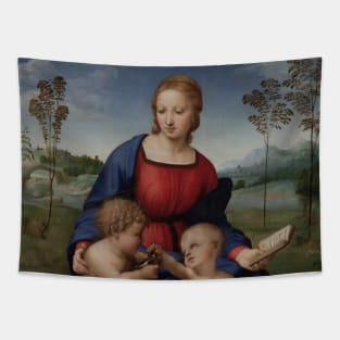 Madonna of the Goldfinch by Raphael Tapestry