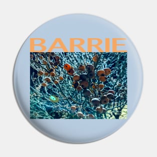 Barrie band fan Pin