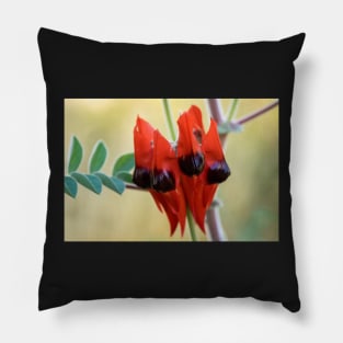 Sturt's Desert Pea, Alice Springs Pillow