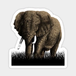 elephant Magnet